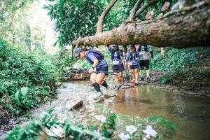 BIB: 
                            <button type="button" onclick="openModal(25517301)" class="btn btn-primary btn-sm float-right btn-popup" data-toggle="modal" data-target=".modal-high-quality">
                        <i class="fas fa-shopping-cart"></i> Add to Cart
                    </button>
                                            <button type="button" onclick="isThisMe(25517301, true)" class="btn btn-success btn-sm float-right btn-popup btn-isme hidden" data-toggle="tooltip" data-placement="bottom" title="นี่คือรูปของคุณใช่ไหม คลิกที่นี่เพื่อเอาเข้าอัลบั้ม">
                        <i class="fas fa-plus"></i> Add to album
                    </button>
                    <button type="button" onclick="isThisMe(25517301, false)" class="btn btn-warning btn-sm float-right btn-popup btn-isnotme hidden">
                        <i class="fas fa-ban"></i> Remove from album
                    </button>